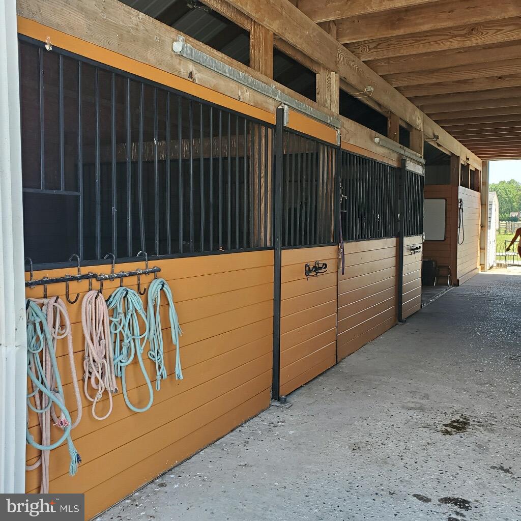 31191 Johnson Road Salisbury, MD 21804 - Photo 33 of 97 Barn