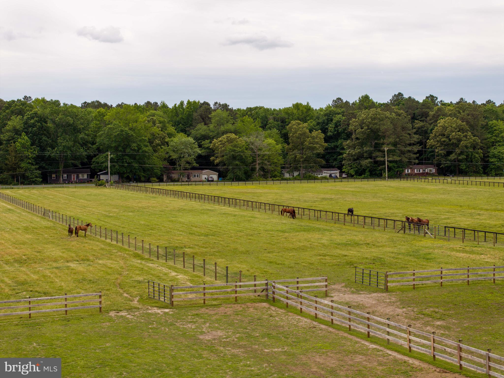 31191 Johnson Road Salisbury, MD 21804 - Photo 5 of 97 a view of an ocean view