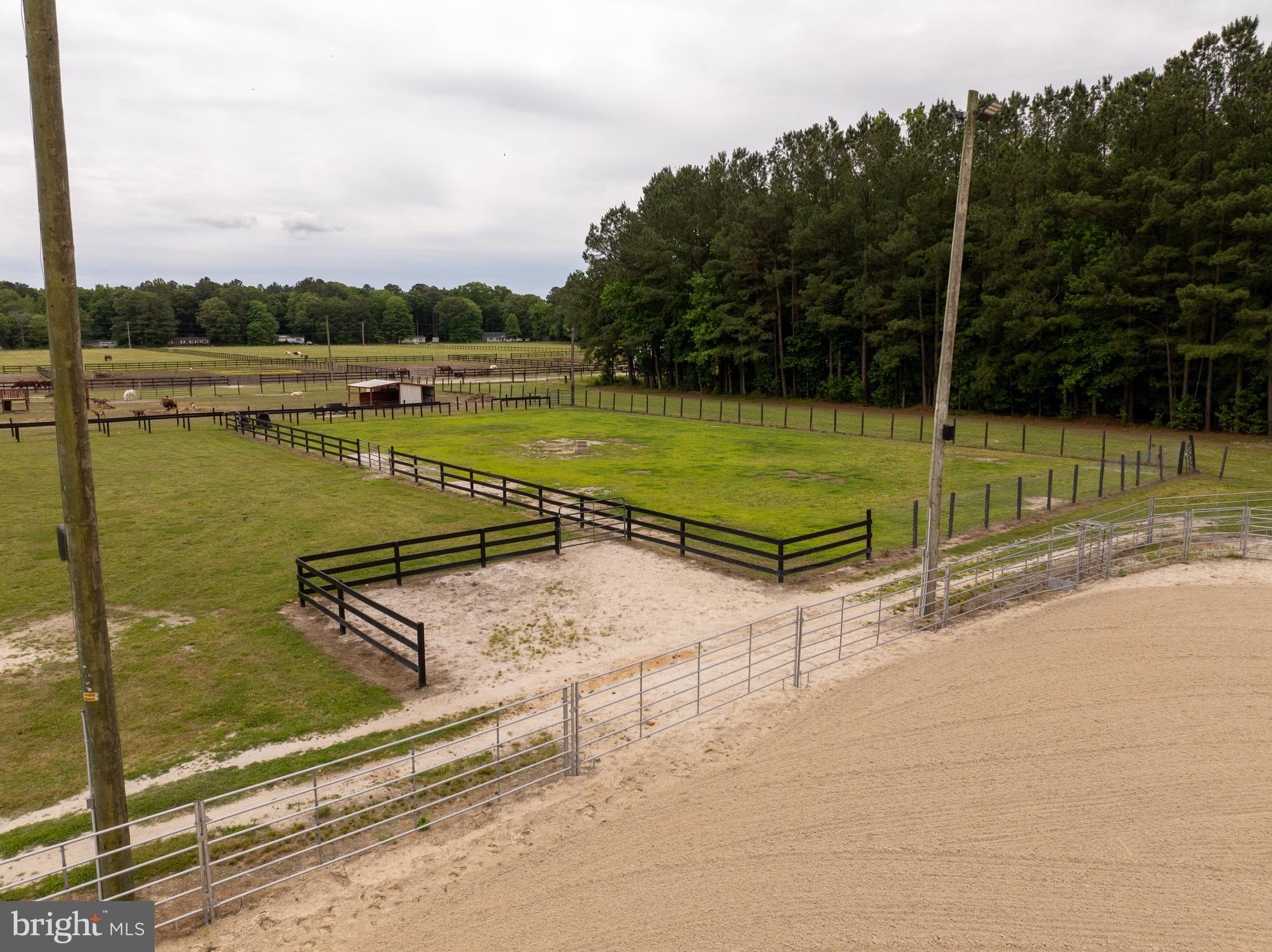 31191 Johnson Road Salisbury, MD 21804 - Photo 6 of 97