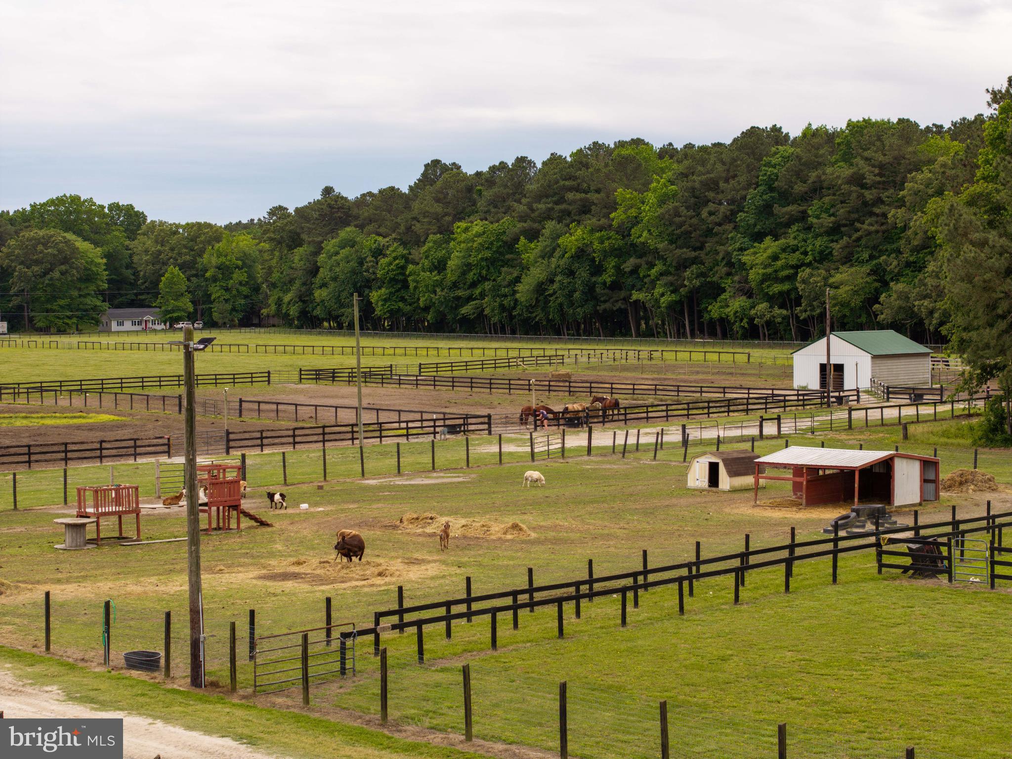 31191 Johnson Road Salisbury, MD 21804 - Photo 73 of 97 Paddocks and petting zoo