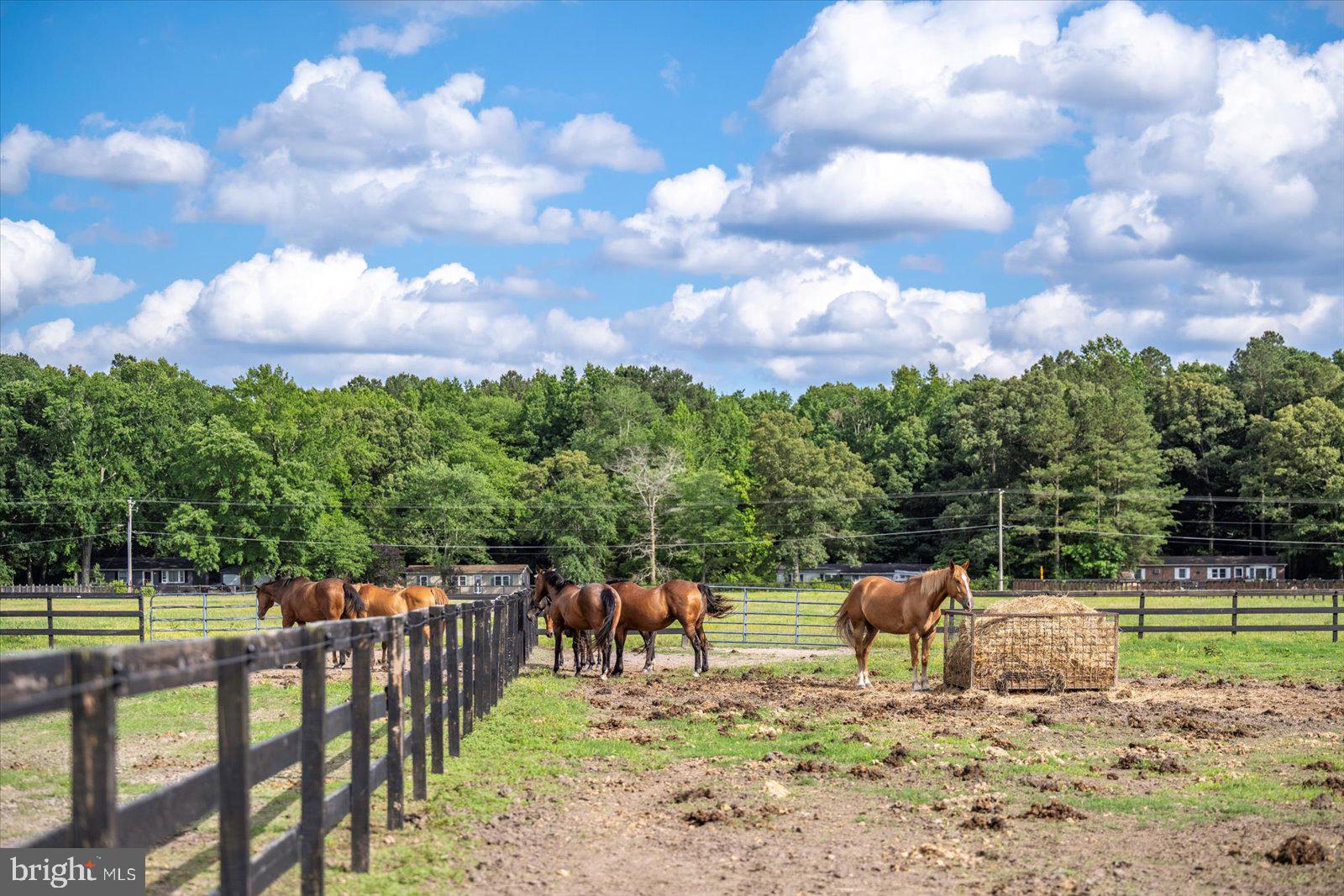 31191 Johnson Road Salisbury, MD 21804 - Photo 86 of 97