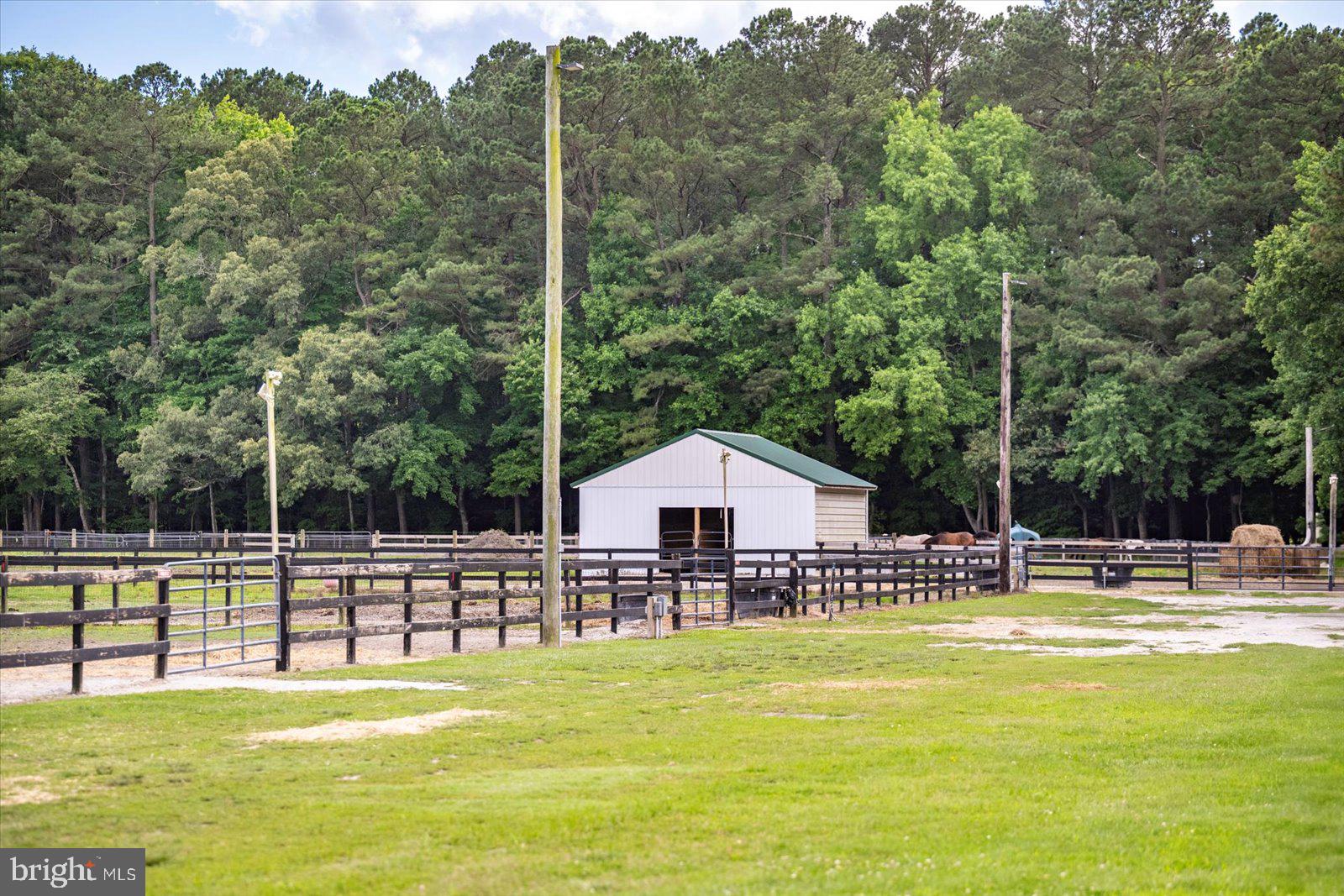 31191 Johnson Road Salisbury, MD 21804 - Photo 87 of 97