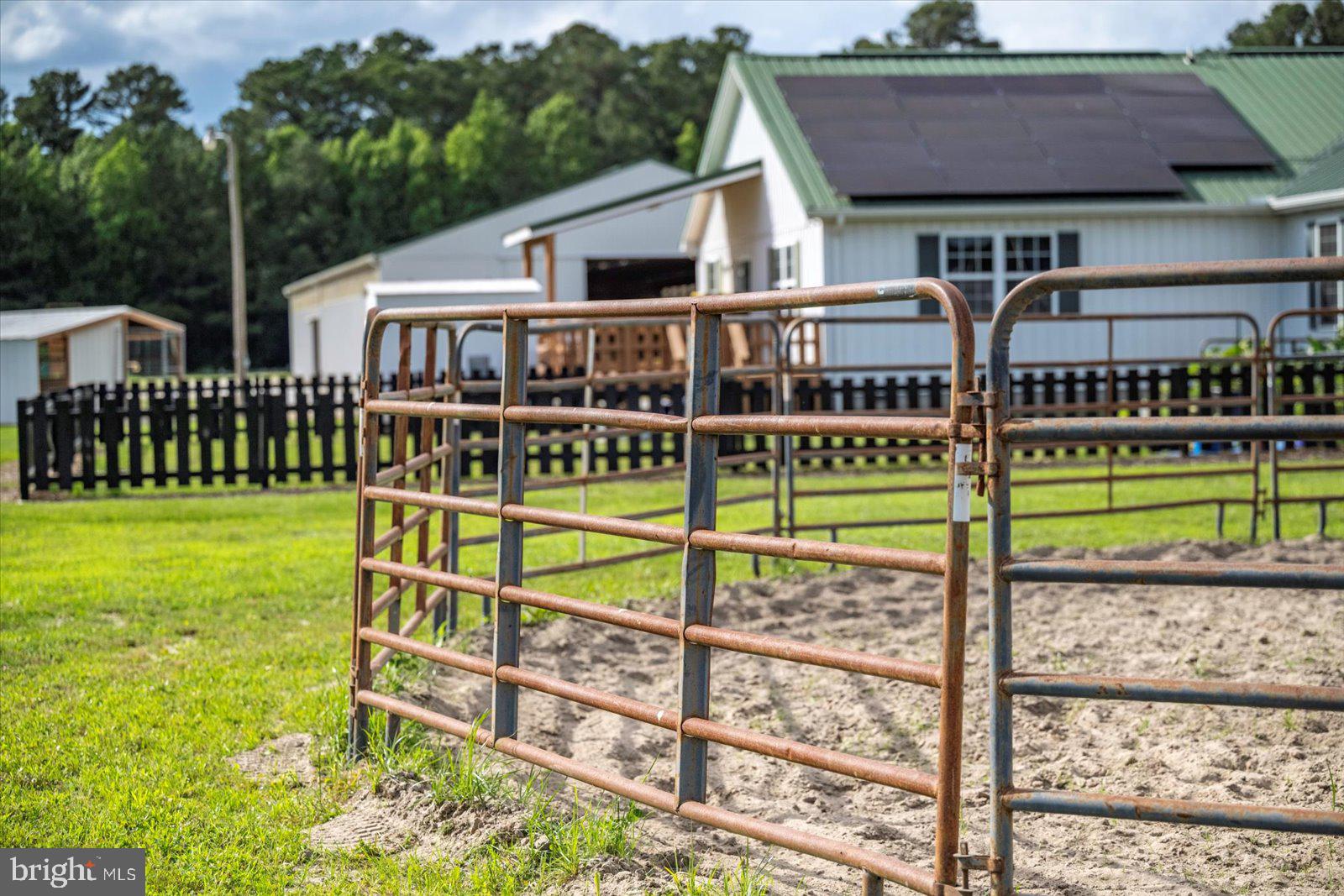 31191 Johnson Road Salisbury, MD 21804 - Photo 89 of 97