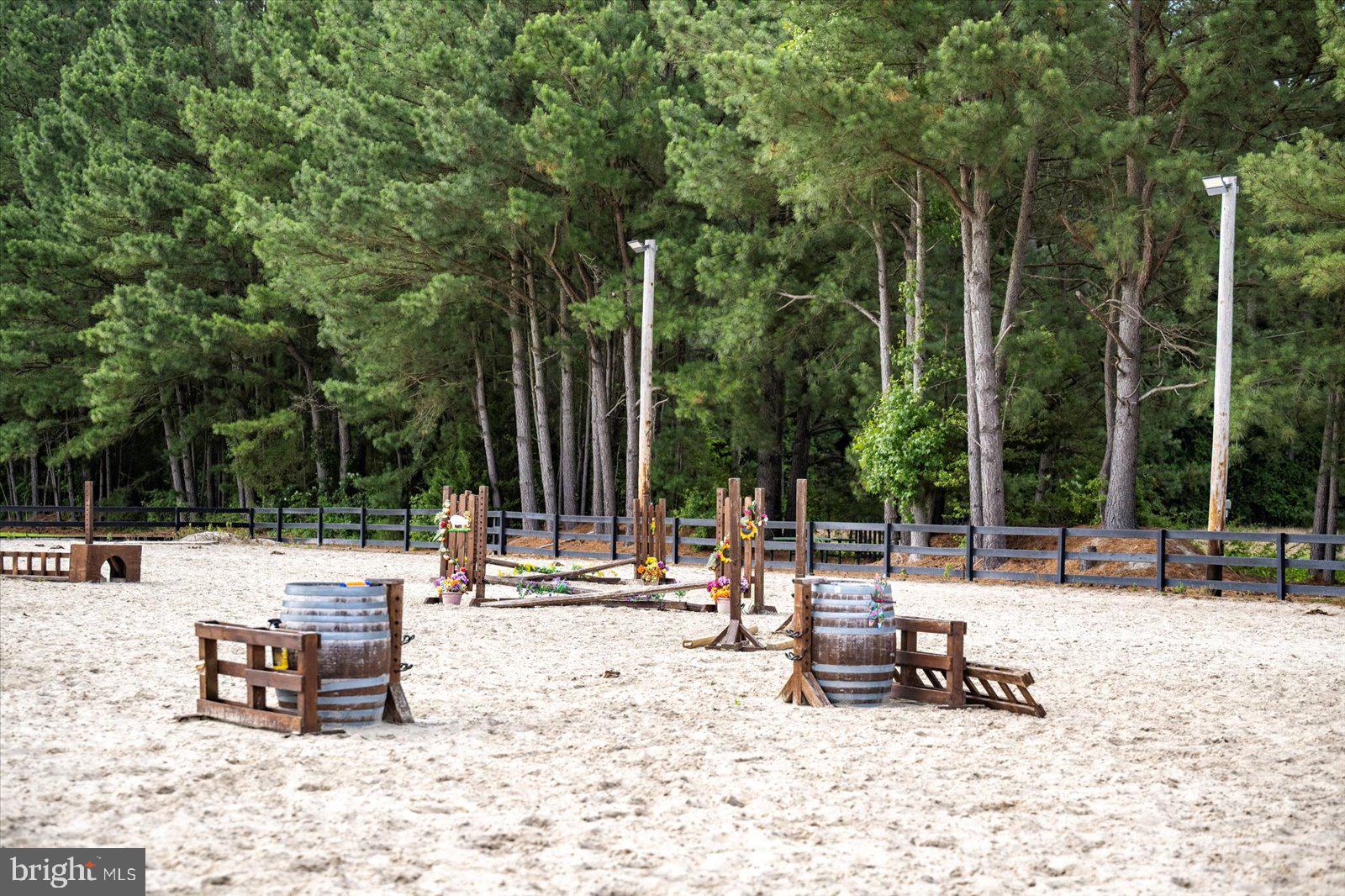 31191 Johnson Road Salisbury, MD 21804 - Photo 9 of 97