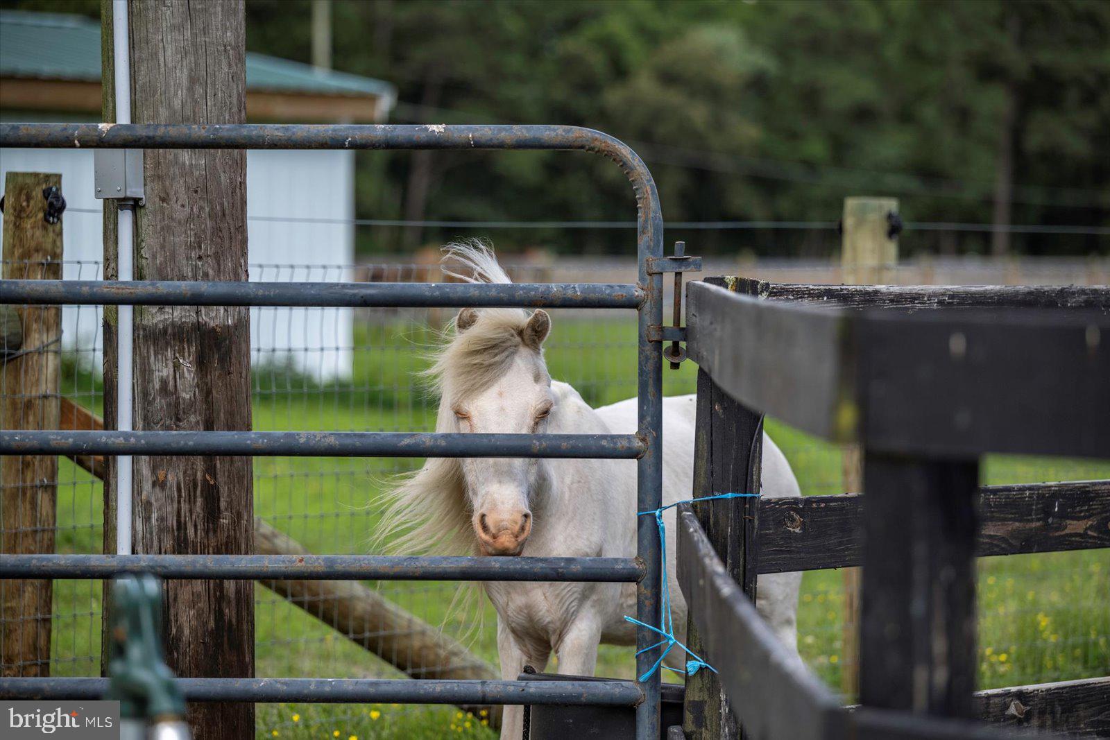 31191 Johnson Road Salisbury, MD 21804 - Photo 91 of 97