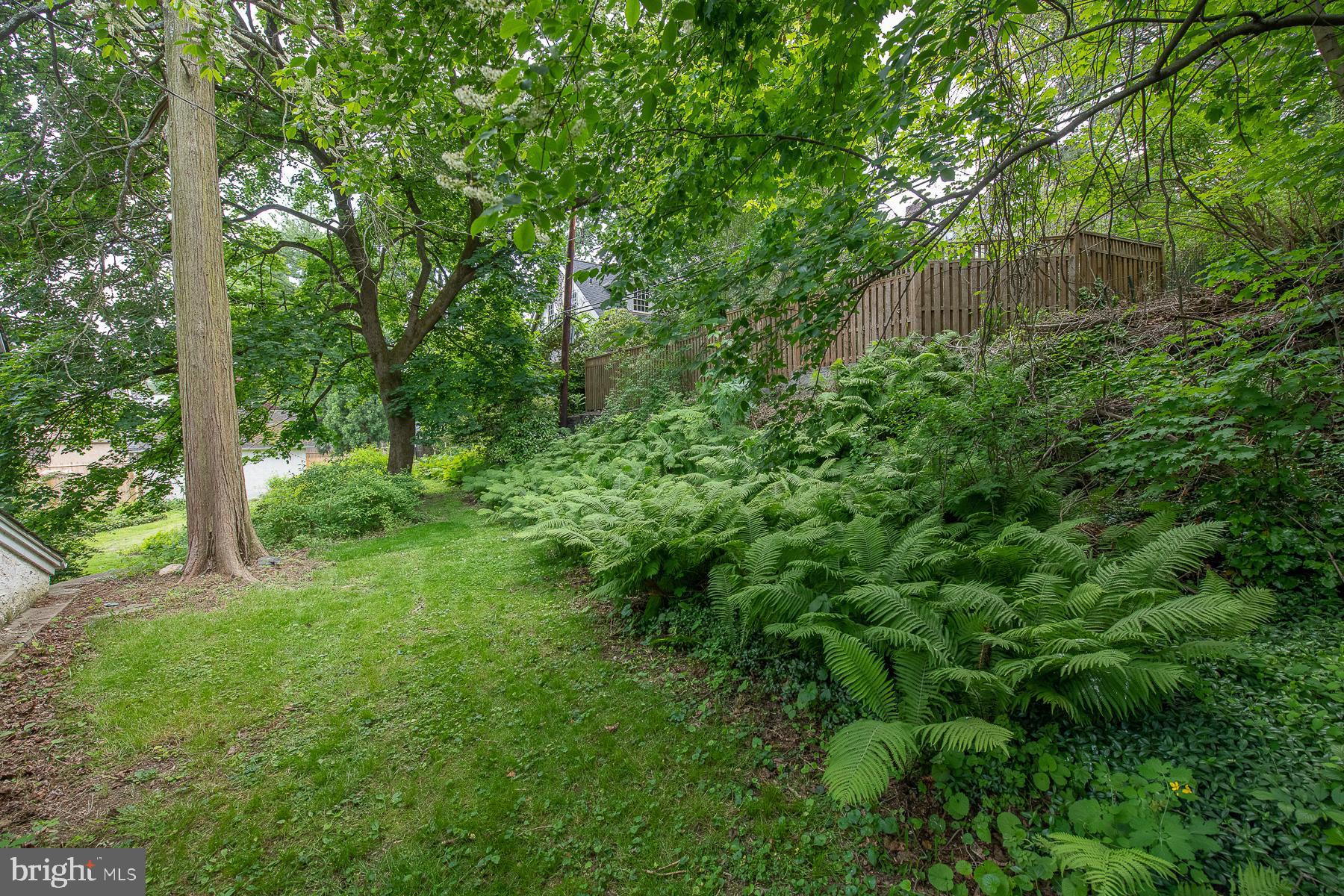 130 Llanfair Road Ardmore, PA 19003 - Photo 36 of 42 View in Back of Property
