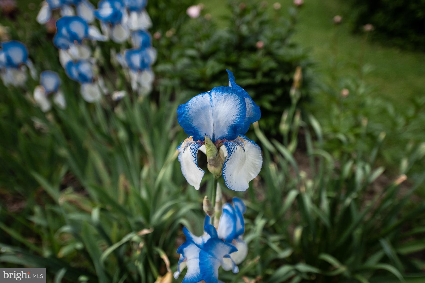130 Llanfair Road Ardmore, PA 19003 - Photo 39 of 42