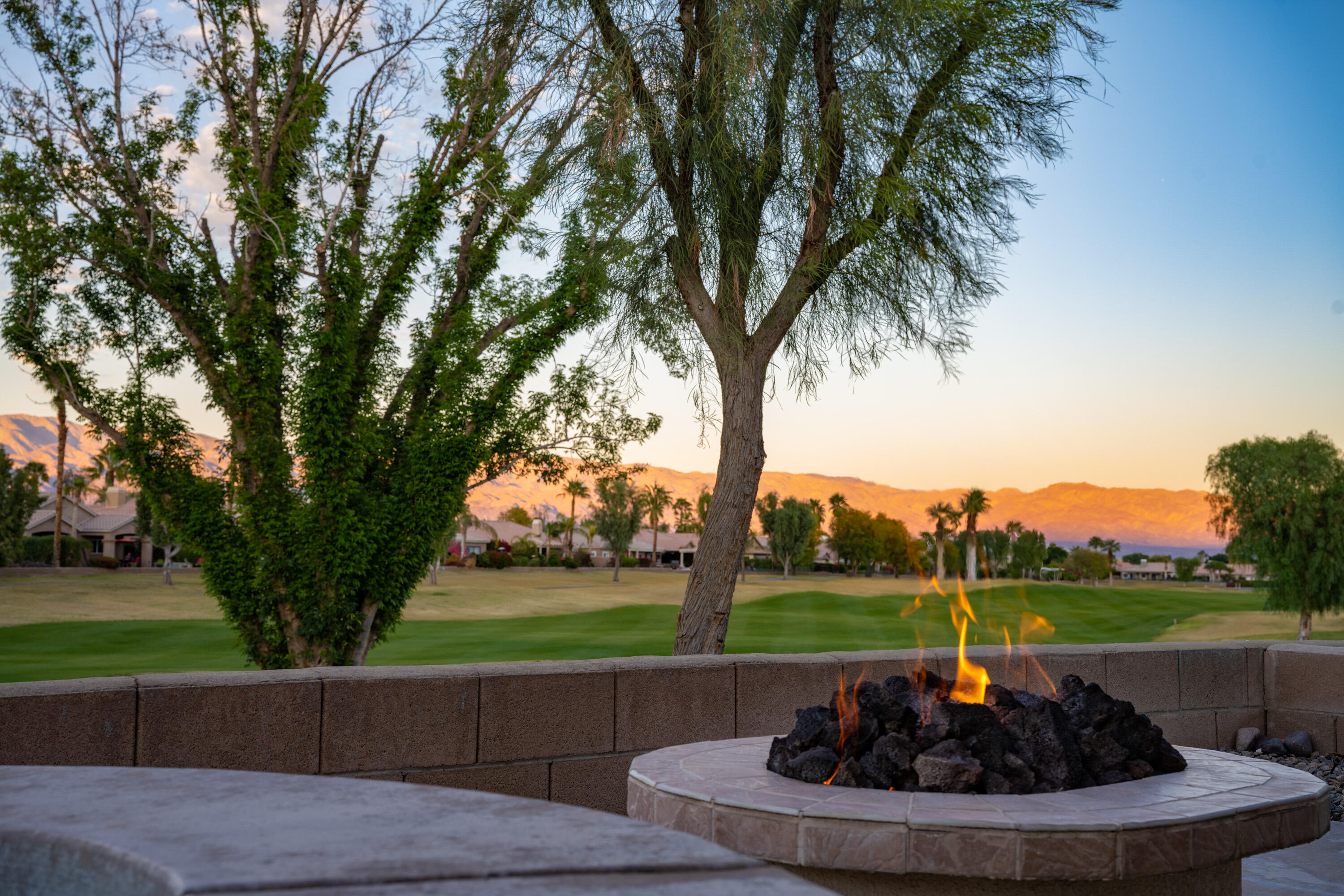 80162 Pebble Beach Drive Indio, CA 92201 - Photo 29 of 48 a view of a garden with palm trees