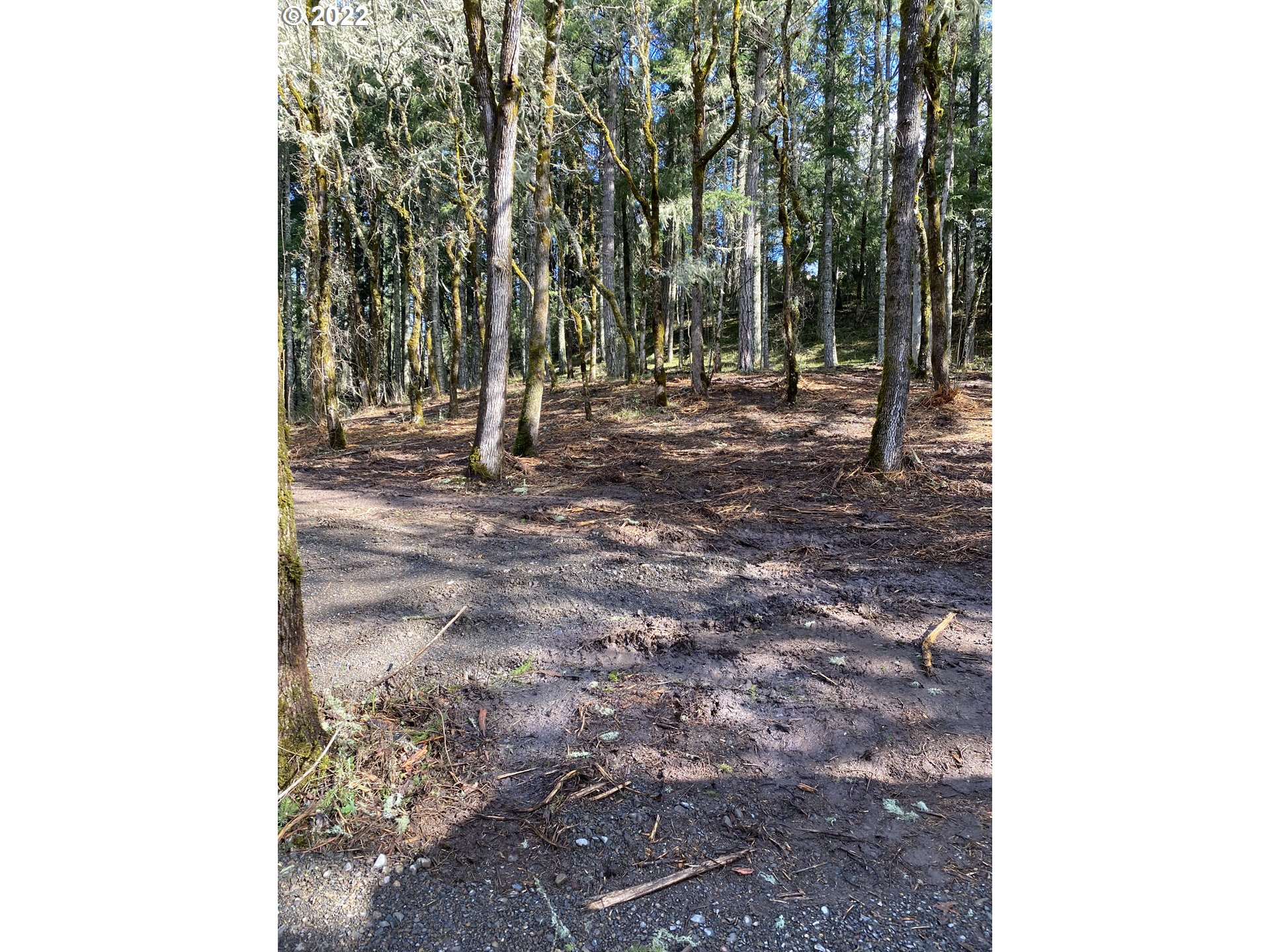 0 Rainbow Valley Road Eugene, OR 97402 - Photo 3 of 8 Gallery Image 3