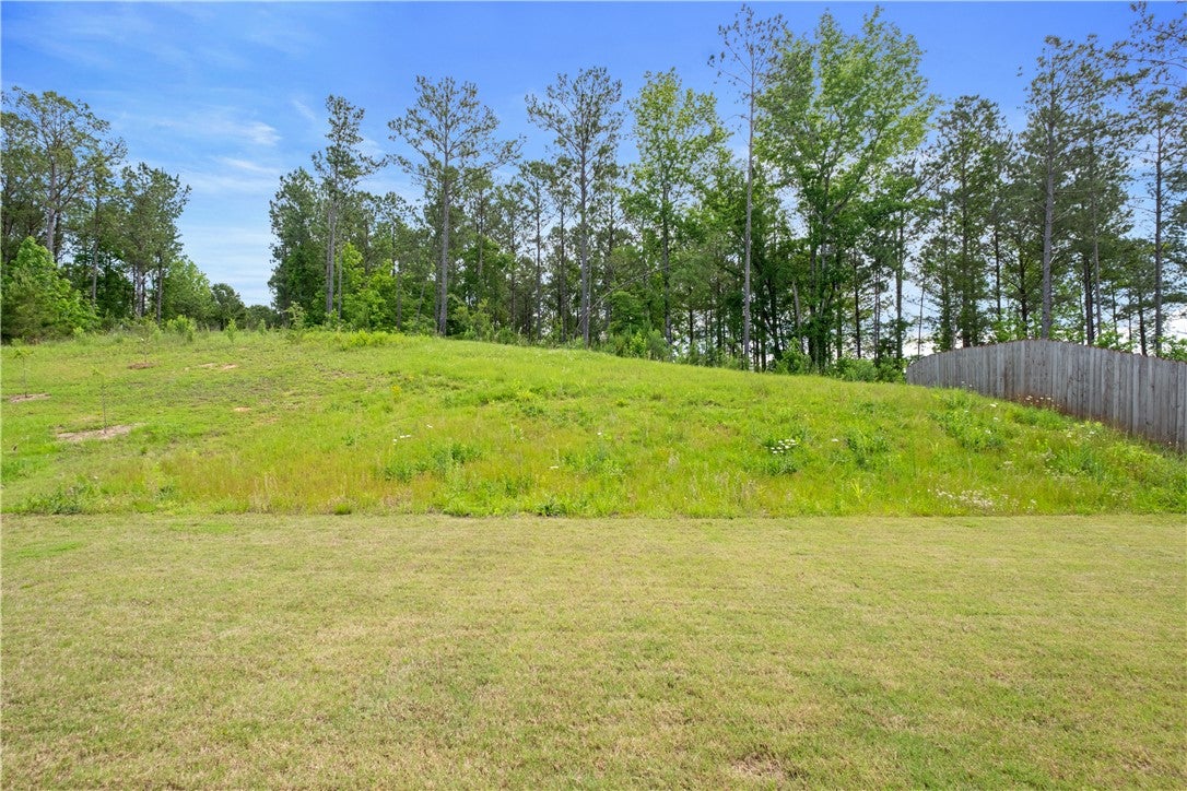 3053 Mimms Trl Road Auburn, AL 36832 - Photo 37 of 45 Gallery Image 37