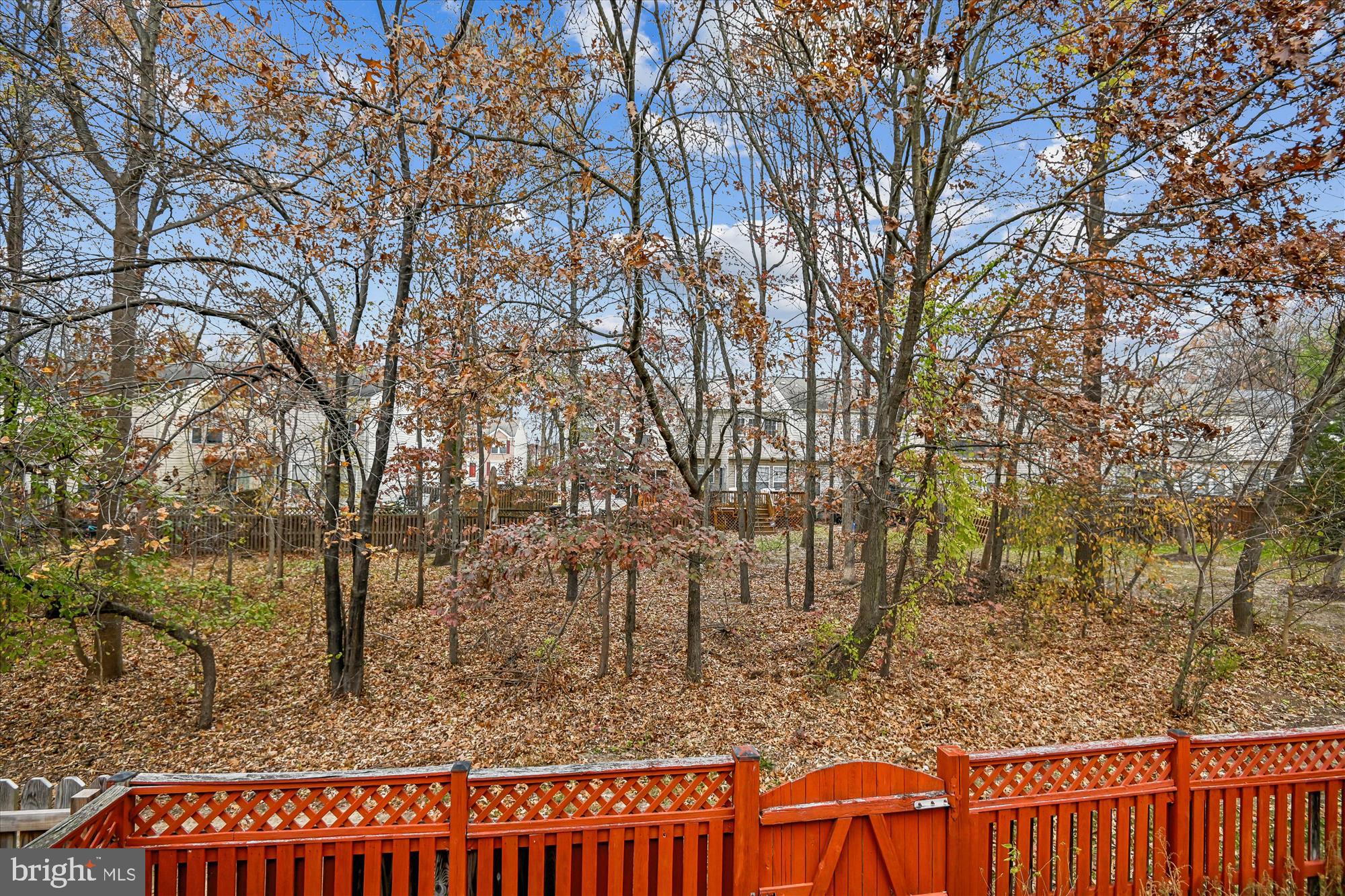 8018 Brookmead Court Severn, MD 21144 - Photo 33 of 35 a view of a yard with large trees