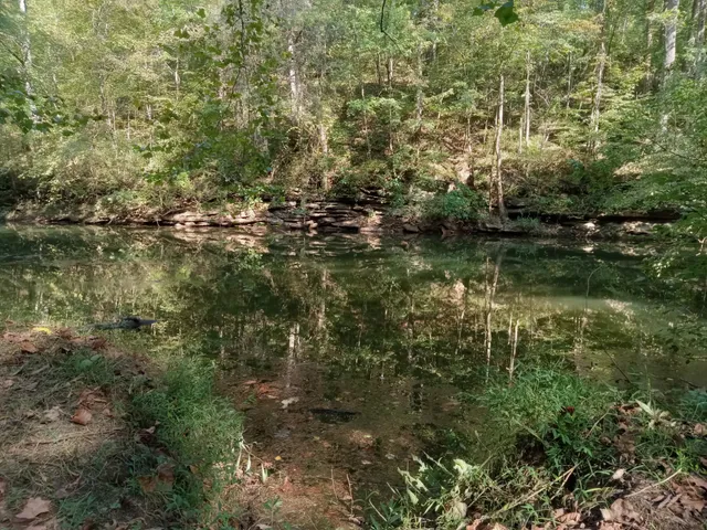 a view of lake with green space
