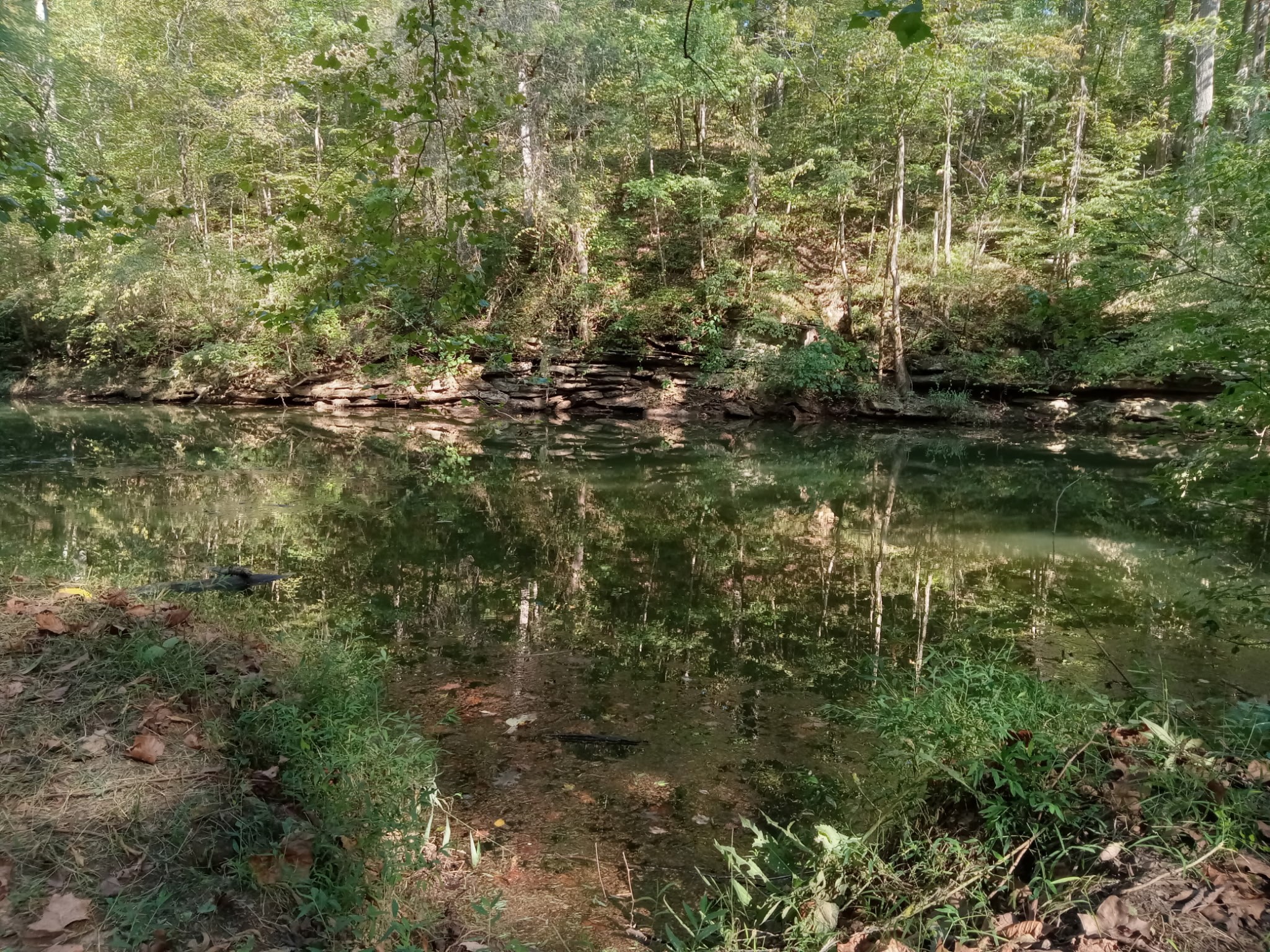 a view of lake with green space