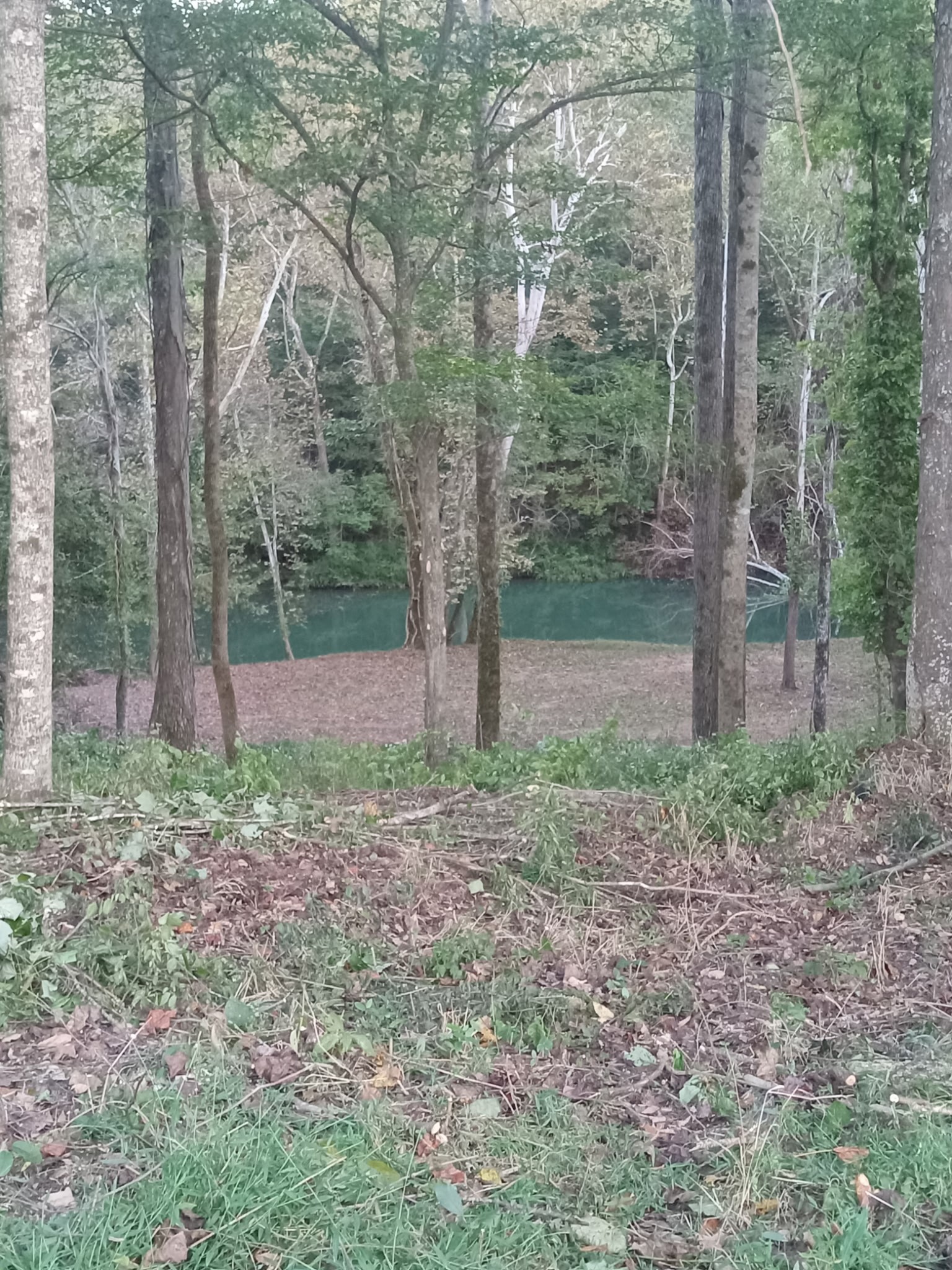 6750 Spencer Road Rock Island, TN 38581 - Photo 2 of 2 a backyard of a house with lots of green space