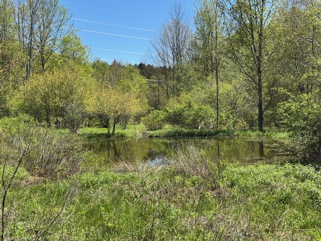64 Olin Evans Road Franklin, NY 13775 - Photo 17 of 44