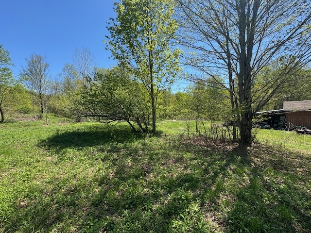 64 Olin Evans Road Franklin, NY 13775 - Photo 18 of 44