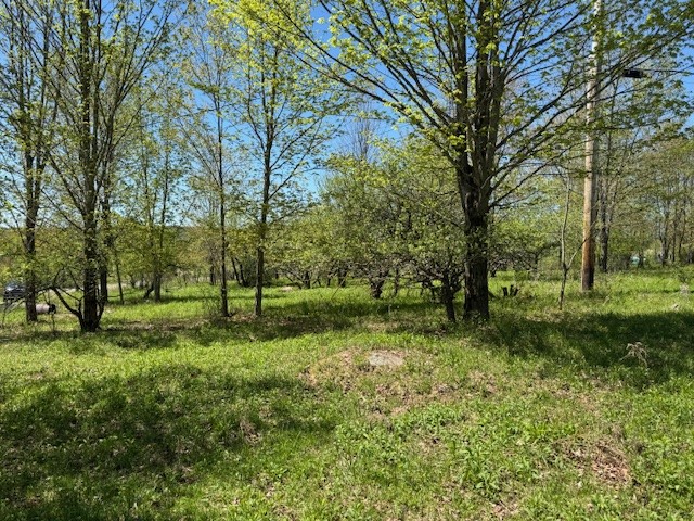 64 Olin Evans Road Franklin, NY 13775 - Photo 23 of 44