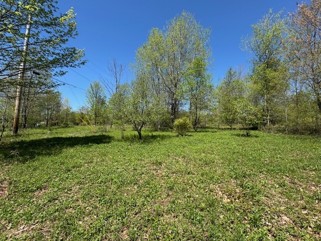 64 Olin Evans Road Franklin, NY 13775 - Photo 24 of 44