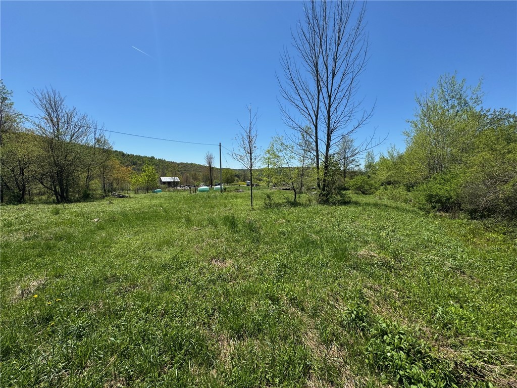64 Olin Evans Road Franklin, NY 13775 - Photo 27 of 44