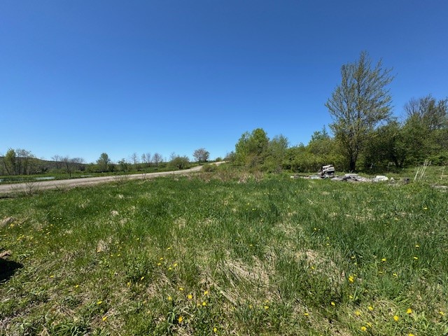 64 Olin Evans Road Franklin, NY 13775 - Photo 33 of 44