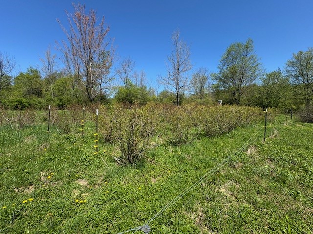 64 Olin Evans Road Franklin, NY 13775 - Photo 38 of 44