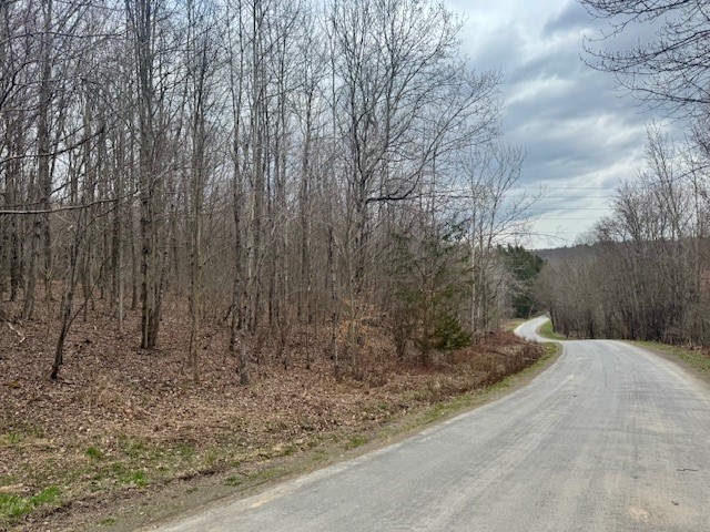 64 Olin Evans Road Franklin, NY 13775 - Photo 43 of 44