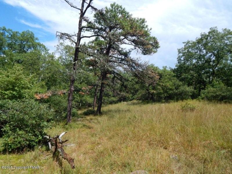 Lot 2 Howeytown Road East Stroudsburg, PA 18302 - Photo 1 of 7 At the top what a view