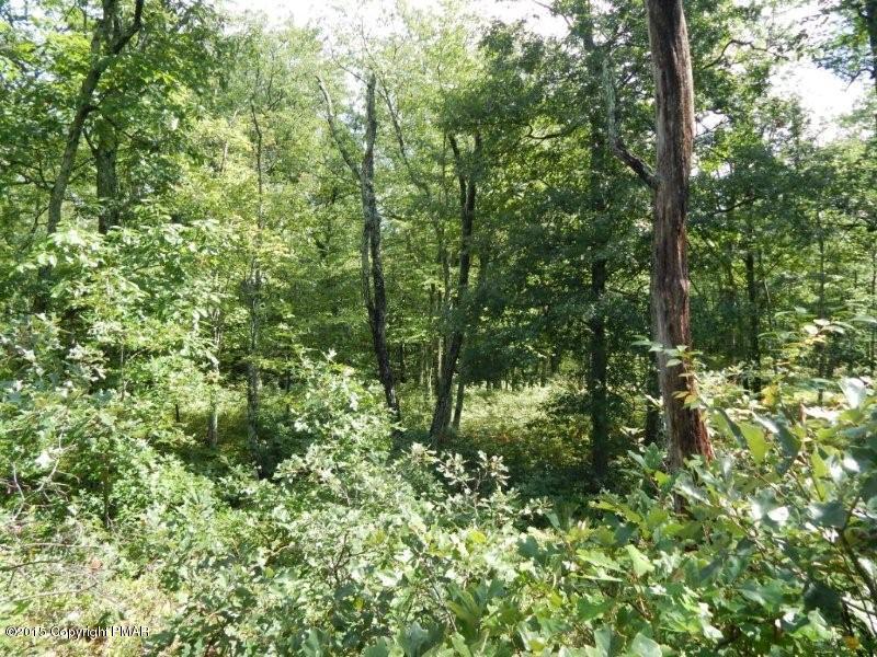 Lot 2 Howeytown Road East Stroudsburg, PA 18302 - Photo 3 of 7 Private space