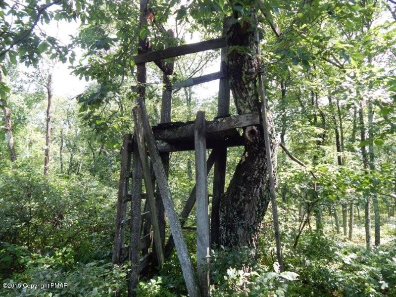 Lot 2 Howeytown Road East Stroudsburg, PA 18302 - Photo 4 of 7 Tree house