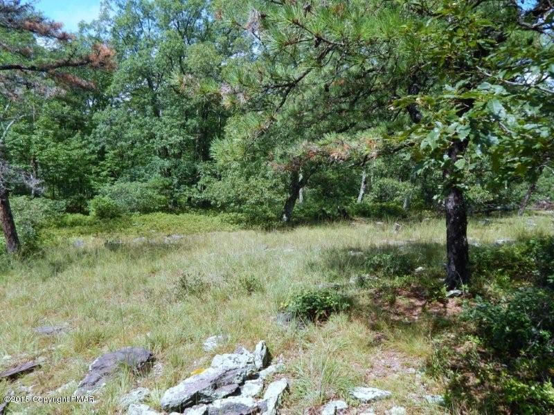 Lot 2 Howeytown Road East Stroudsburg, PA 18302 - Photo 5 of 7 Clear spot for the hosue