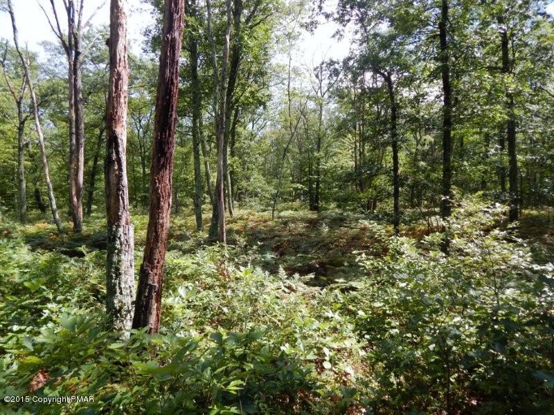 Lot 2 Howeytown Road East Stroudsburg, PA 18302 - Photo 6 of 7 Private space