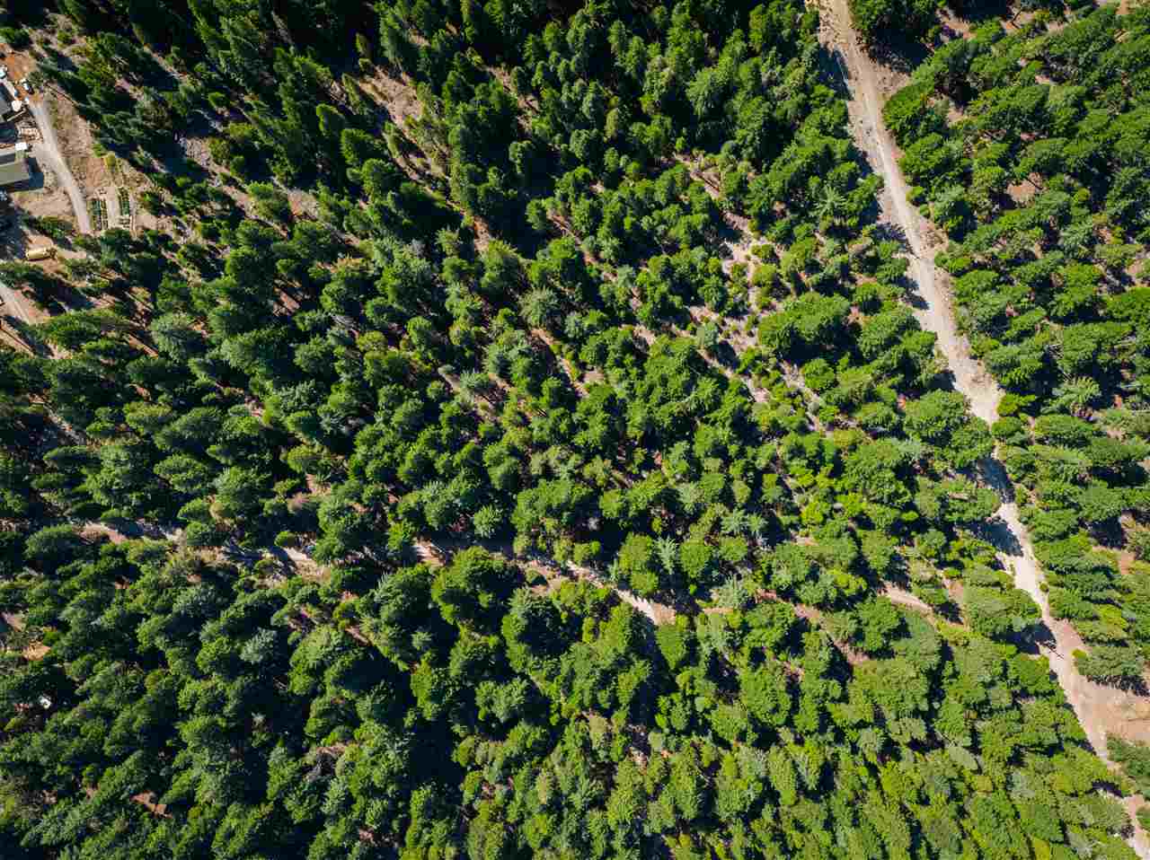 Off Summit Mount Shasta, CA 96067 - Photo 8 of 12 Gallery Image 8