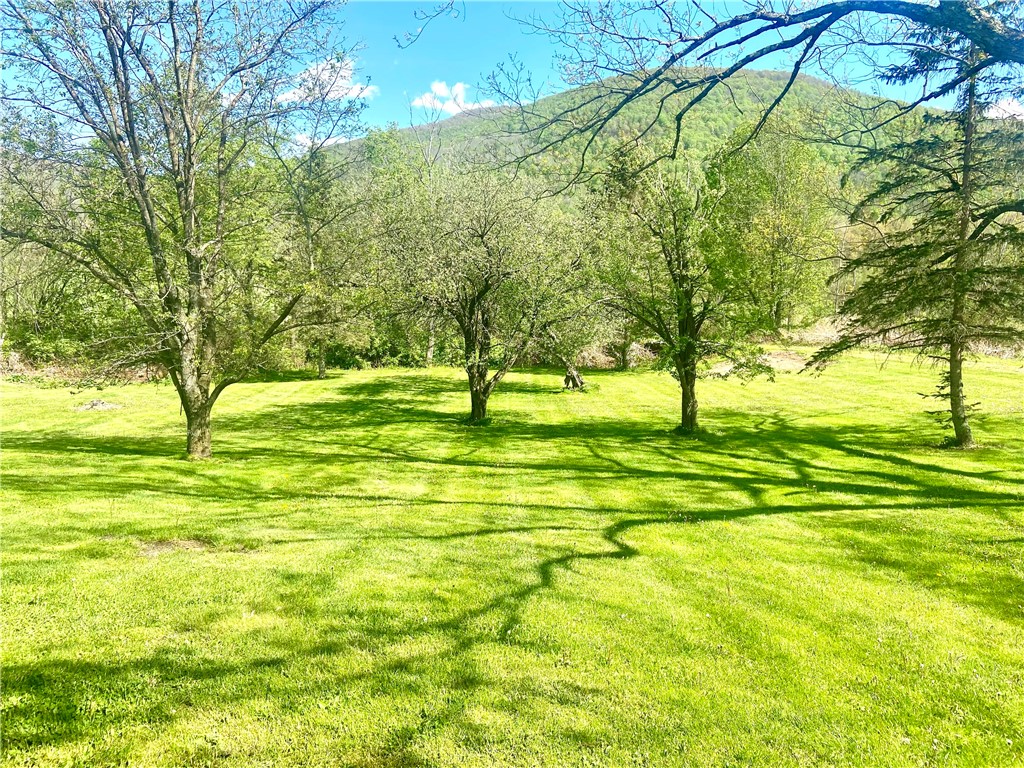 100 Hubbells Corner Road Roxbury, NY 12474 - Photo 3 of 31 Apple Trees