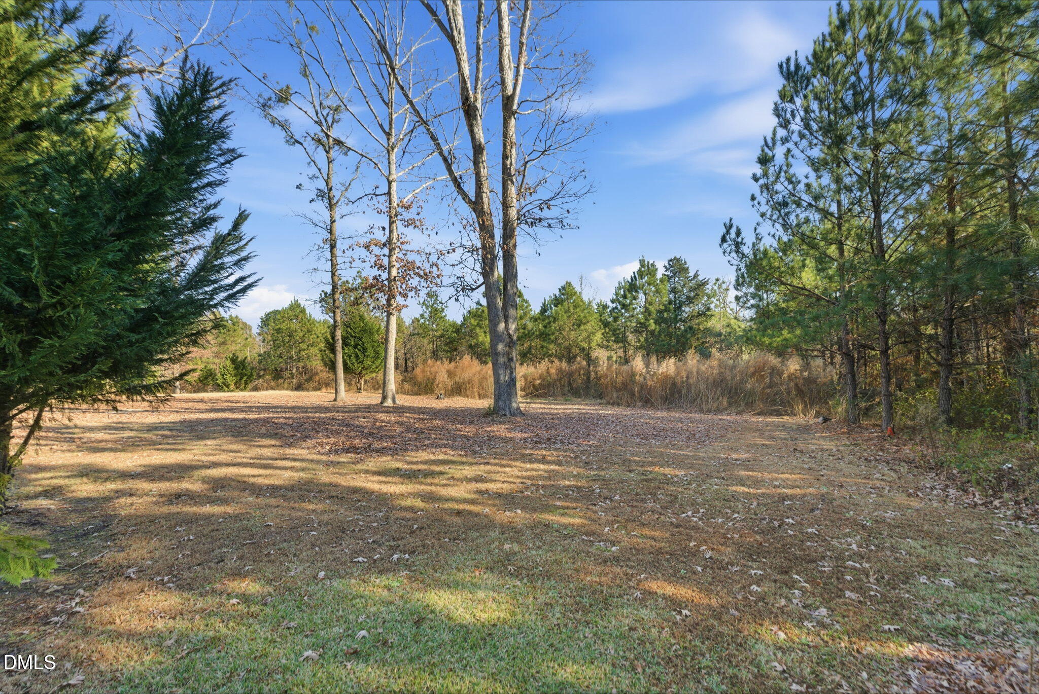 5210 Moncure Pittsboro Road Moncure, NC 27559 - Photo 58 of 58 a view of a yard with large trees