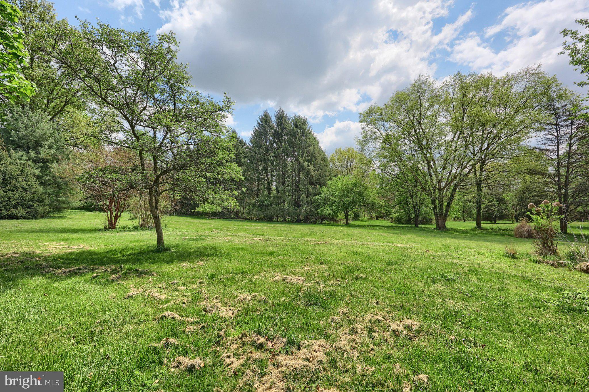 1974 Yingling Drive Spring Grove, PA 17362 - Photo 23 of 69 Lush green oasis under a bright sky.