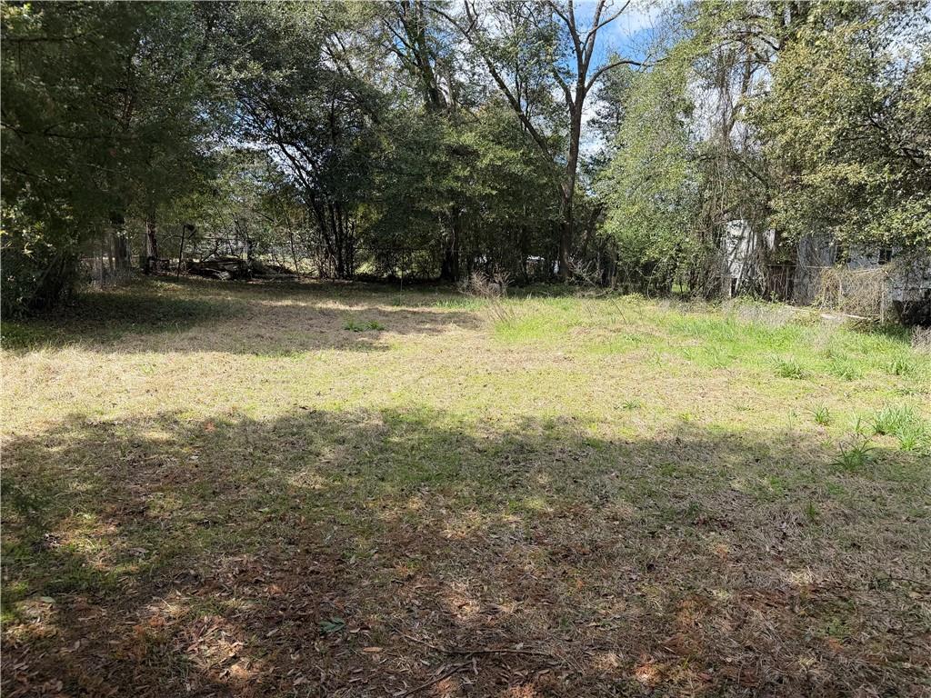 709 Plant Street Montezuma, GA 31063 - Photo 2 of 2