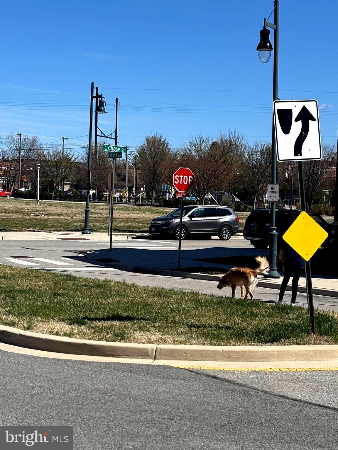 1728 Lantern Mews Baltimore, MD 21205 - Photo 16 of 16 a view of a park with sitting area