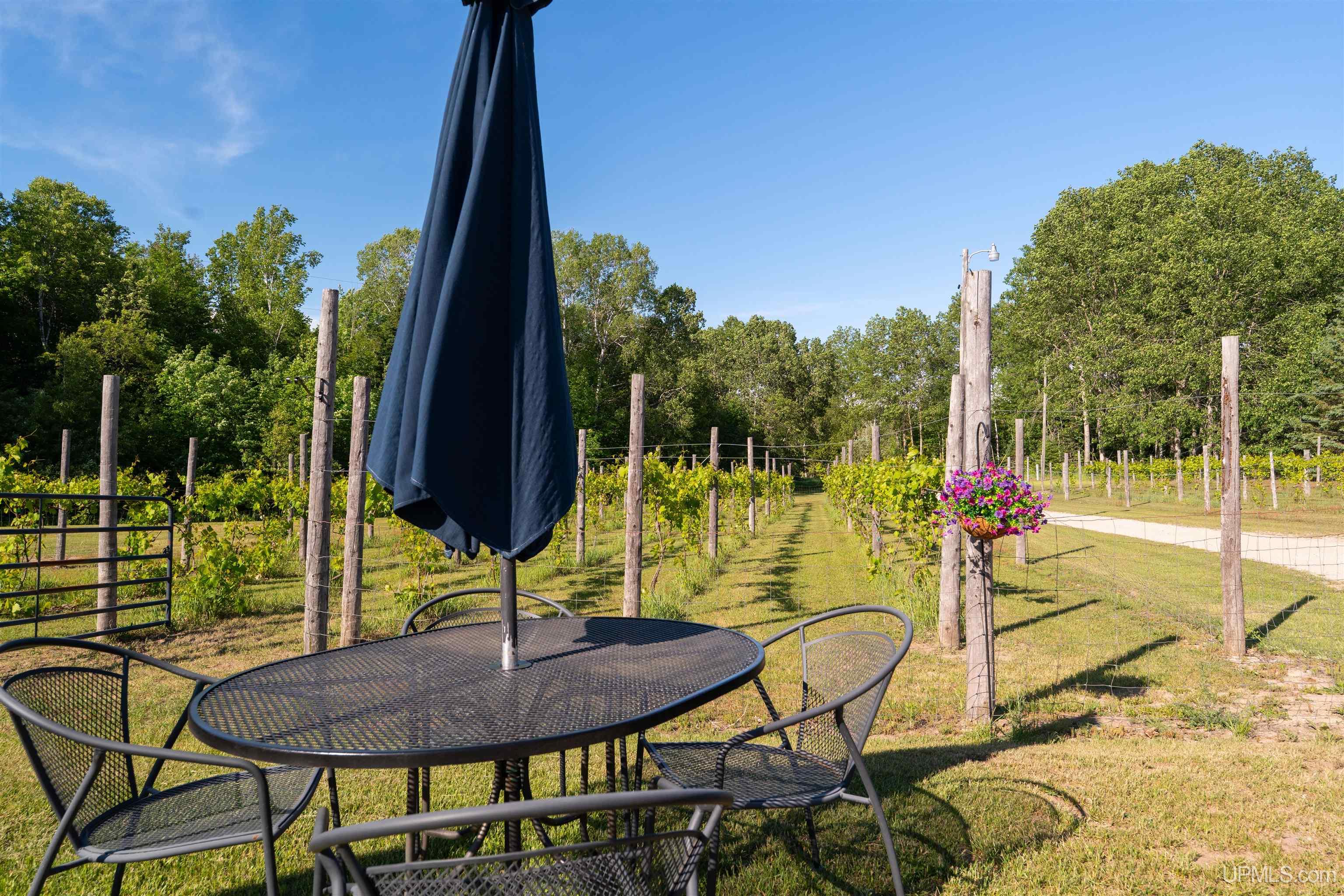 6917 Burns Road Germfask, MI 49836 - Photo 84 of 87