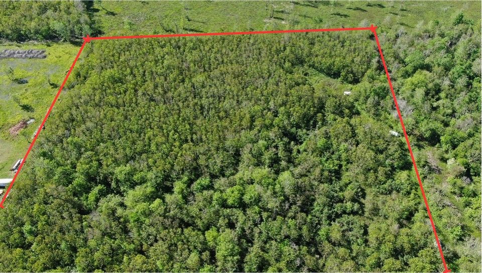 931 Lawson Road Rosharon, TX 77583 - Photo 3 of 9 a view of a garden with a flower plants