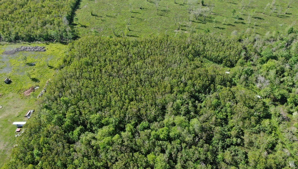 931 Lawson Road Rosharon, TX 77583 - Photo 8 of 9 a view of a large yard with lots of green space