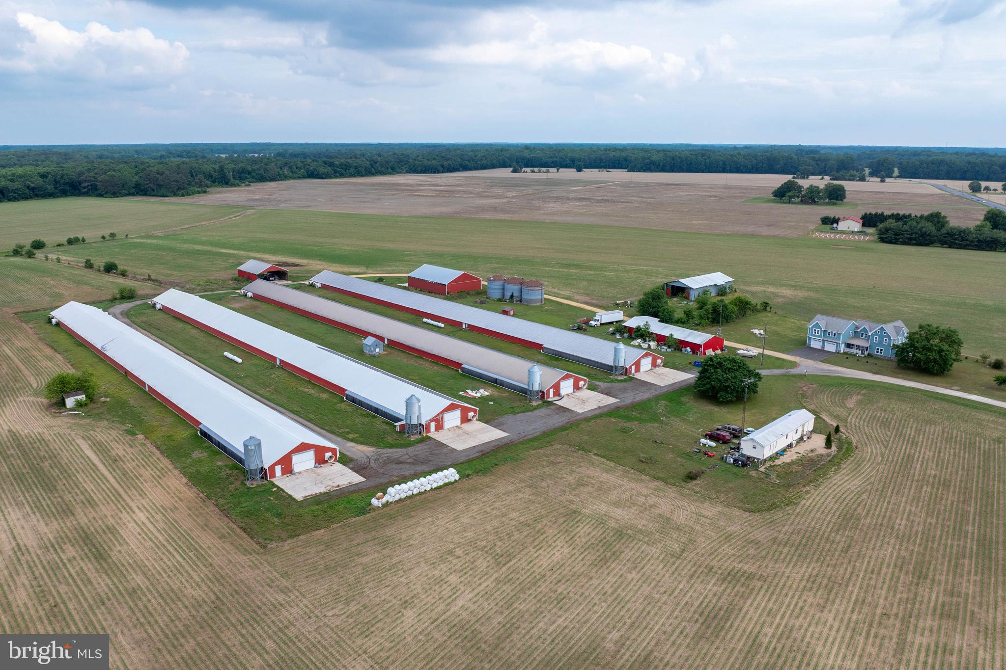7347 Harmony Road Preston, MD 21655 - Photo 4 of 63 Aerial View of Farm & House