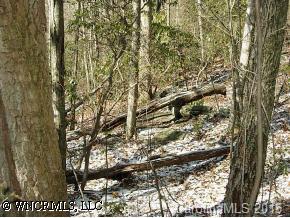 U3 Laurel Ridge North, Unit U3 Maggie Valley, NC 28751 - Photo 8 of 9