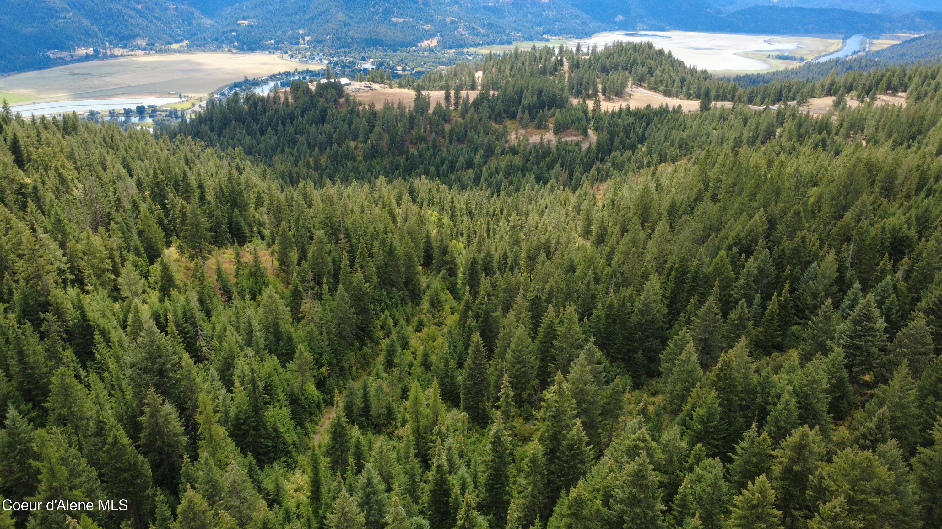 Nka Ridgeview Drive St. Maries, ID 83861 - Photo 9 of 12 DJI_0187