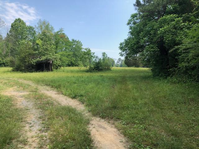 Frog Hollow Road Delano, TN 37325 - Photo 1 of 5 IMG_6952