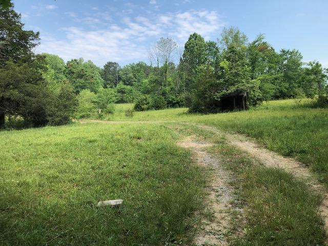 Frog Hollow Road Delano, TN 37325 - Photo 2 of 5 IMG_6953
