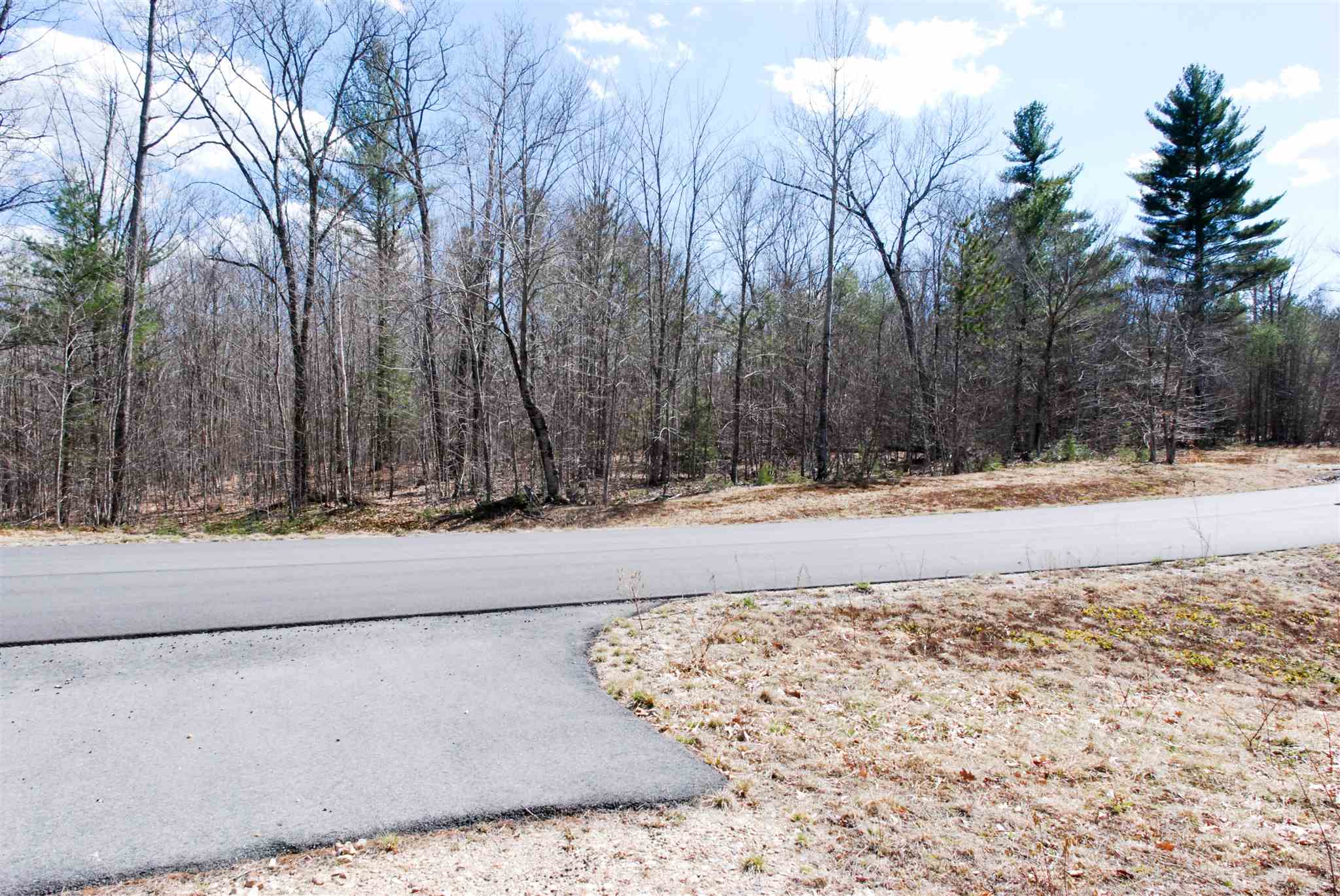Lot 89 Grandview Road, Unit 89 Conway, NH 03818 - Photo 5 of 10