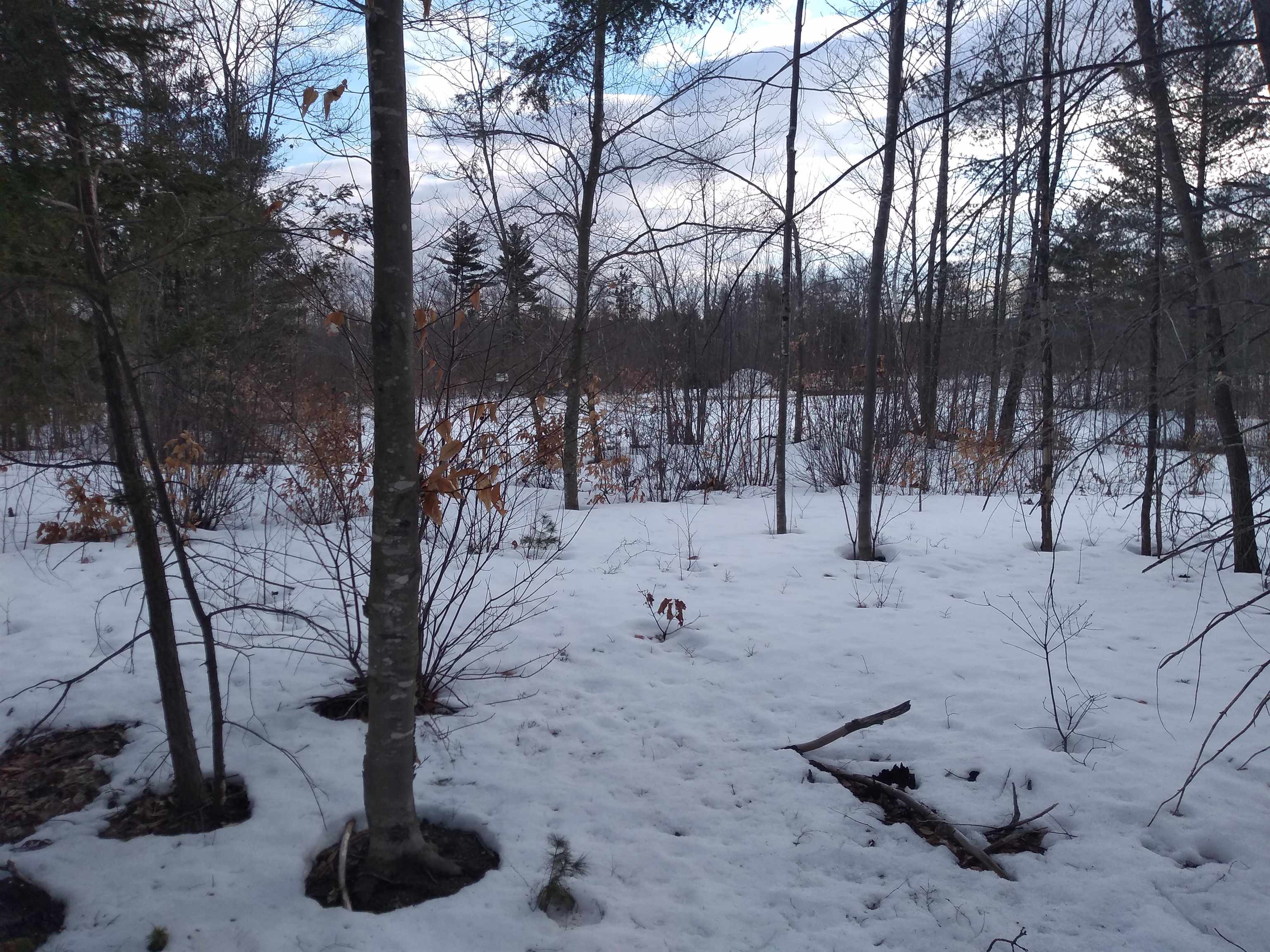 Lot 89 Grandview Road, Unit 89 Conway, NH 03818 - Photo 6 of 10