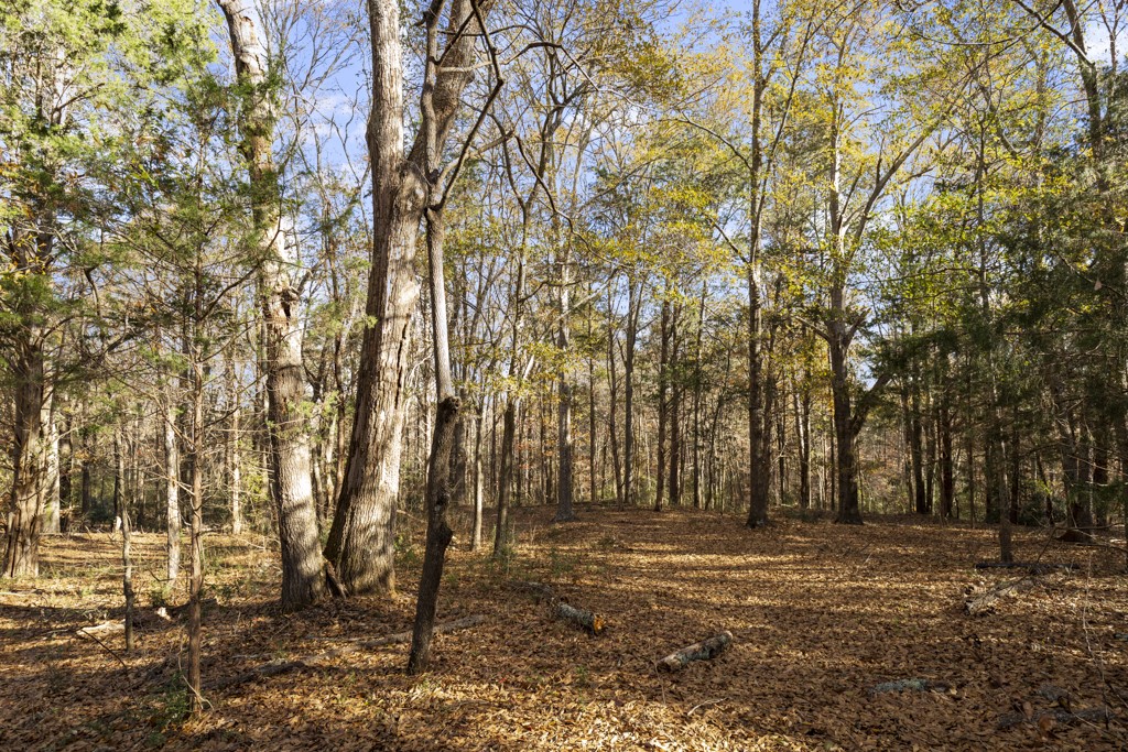 274 Circle Drive Pendleton, SC 29670 - Photo 39 of 50 Woods in the back with trails to the creek