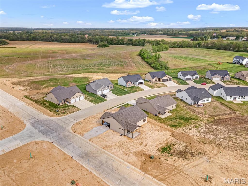 951 Forbs Drive Waterloo, IL 62298 - Photo 8 of 10