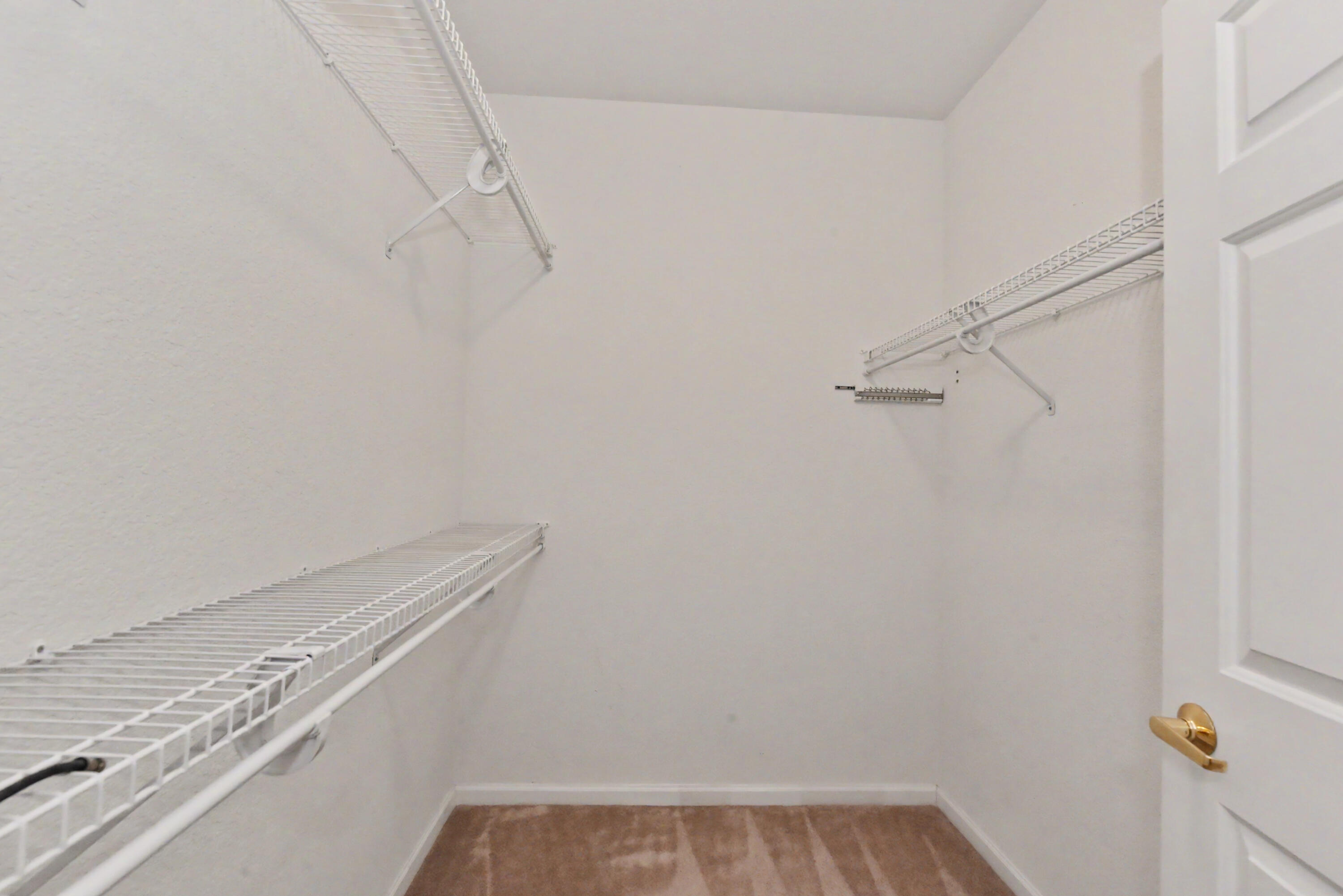 13050 West Bluemound Road, Unit 203 Elm Grove, WI 53122 - Photo 10 of 24 Large primary walk-in closet